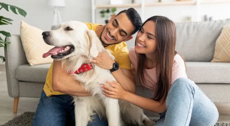 APLICATIVOS PARA QUEM TEM PET EM CASA - 2 QUE VOCÊ PRECISA CONHECER