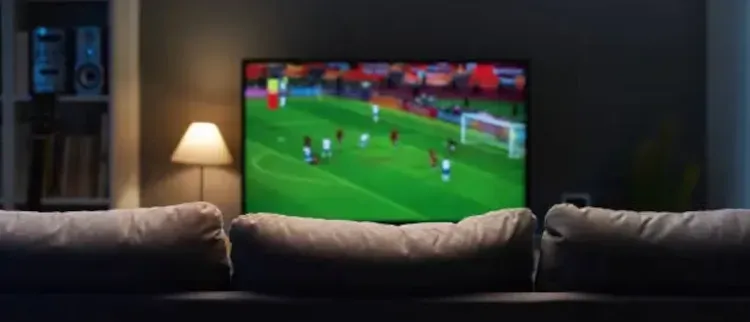BAIXAR APLICATIVO PARA ASSISTIR JOGO DO PALMEIRAS AO VIVO!